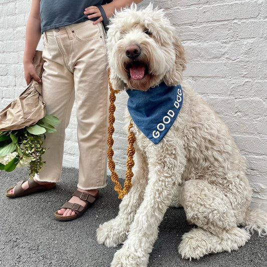 GOOD DOG Denim Bandana