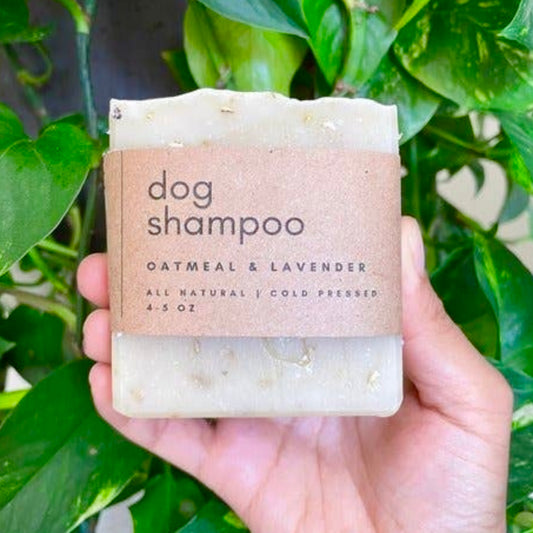 Dog Shampoo Bar