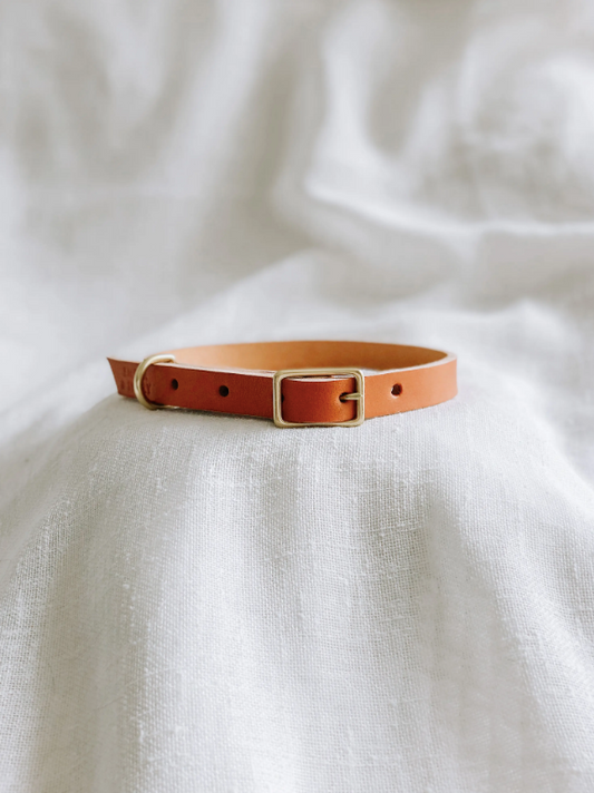 Genuine Leather Collar